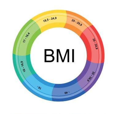 BMI Untergewicht ab wann gefährlich?