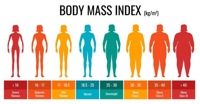 BMI ab wann Normalgewicht?