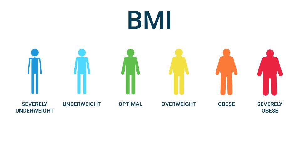 Seit wann gibt es den BMI?