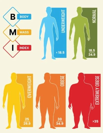 Wann wurde der BMI entwickelt?
