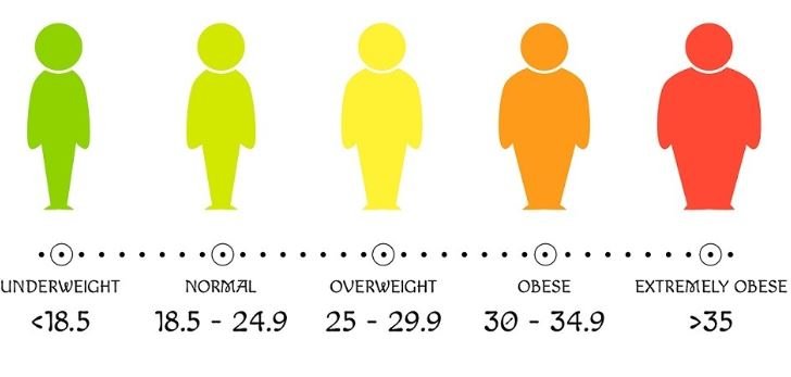 Warum der BMI Quatsch ist
