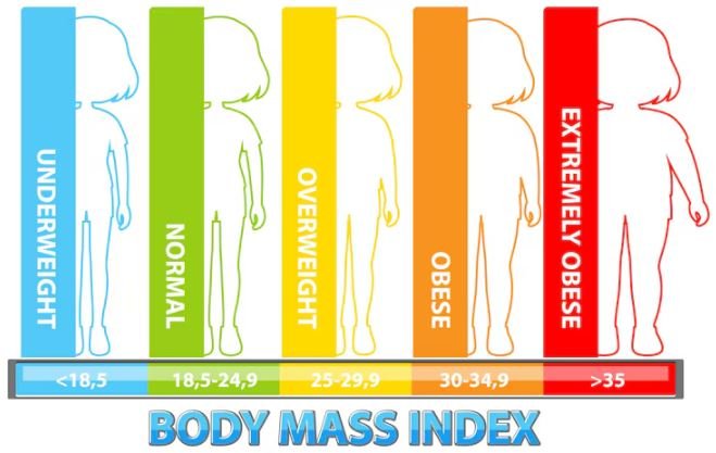 Was bedeutet der BMI Wert?