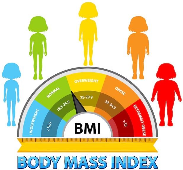 Was bedeutet die Abkürzung BMI?