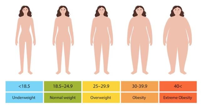 Was ersetzt den BMI?
