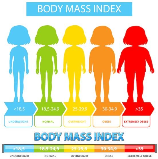 Was ist BMI einfach erklärt?