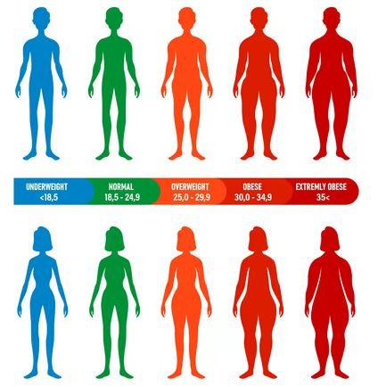 Was ist besser als der BMI?
