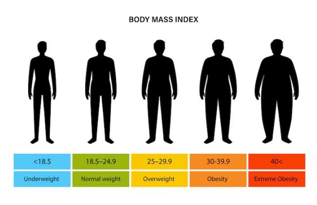 Was ist der BMI und wie wird er berechnet?