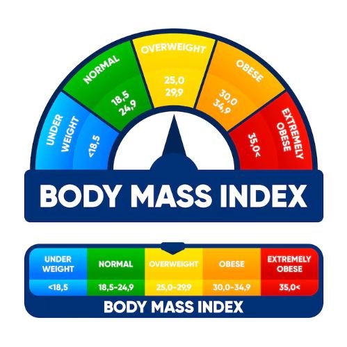 Was ist ein normaler BMI für einen Erwachsenen?