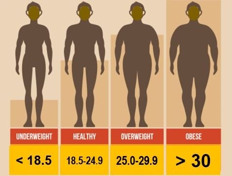Wer hat den BMI erfunden?