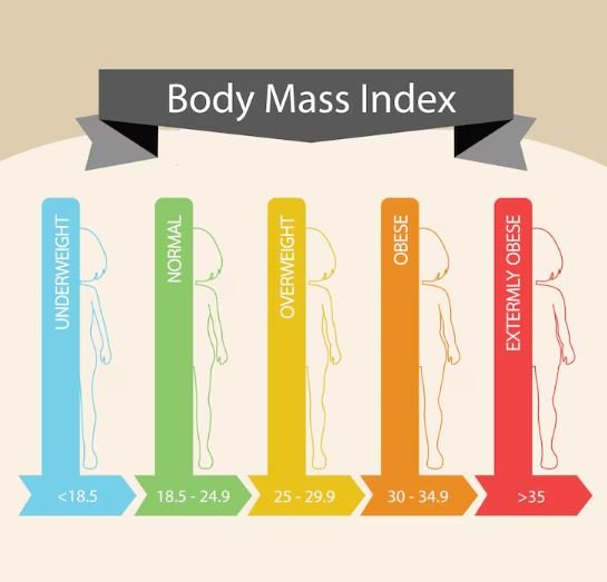 Wie berechnet man den BMI ohne Taschenrechner?