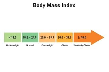 Wie hoch sollte der BMI bei Frauen sein?