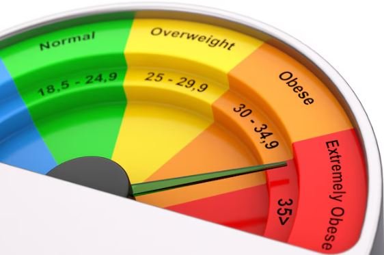 Wie hoch sollte mein BMI sein?
