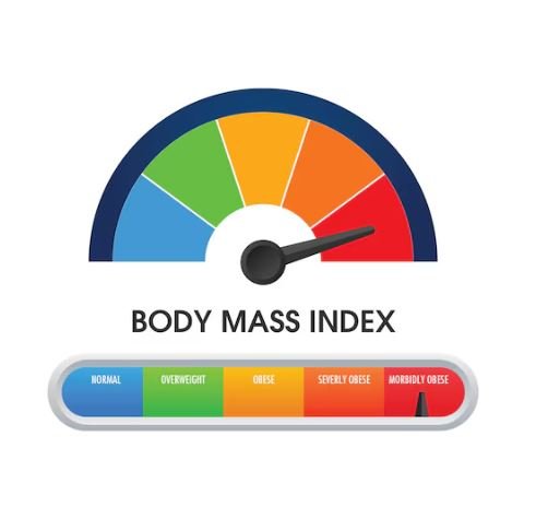 Wie sollte der BMI sein?