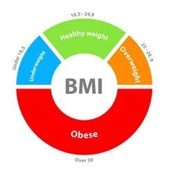 Wie wurde der BMI entwickelt?